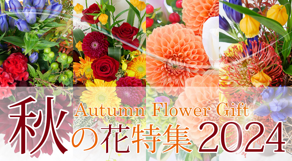 2024年秋の花特集