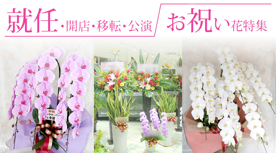 087 Com お花ドットコム 開店祝い花 楽屋花 お花のギフト