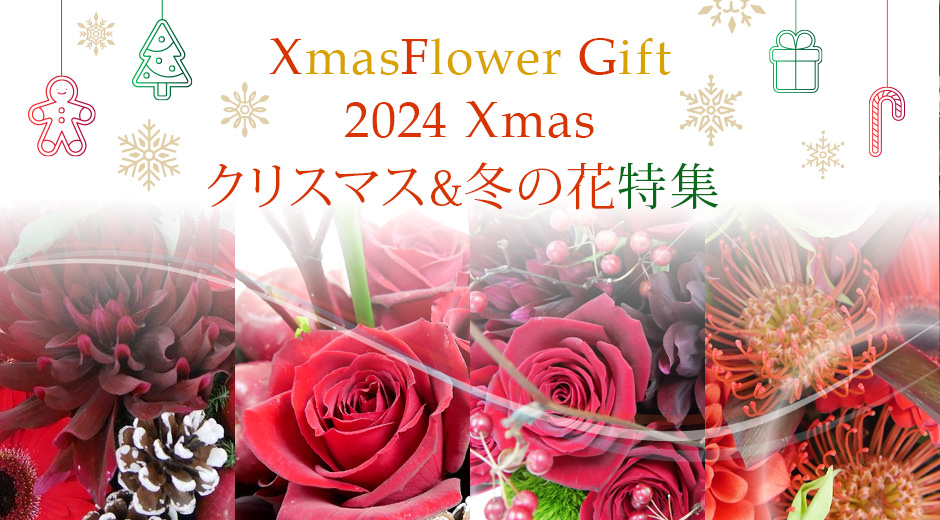 2024Xmasクリスマス&冬の花特集